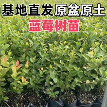 �����������������{ݮ����Y����ϱ������Ե����ͺ�L25F6�{ݮ��