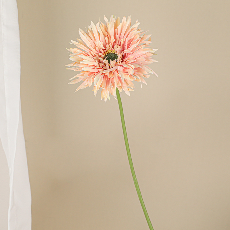 기모 거베라 [연어 식사]]