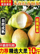 YF10��ѩ�����污��������Ƥ���rˮ�������������ӬF�l��ʮ��Fժ