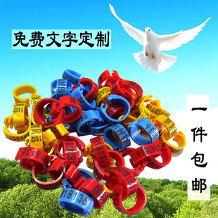 ������Ʒ�þ�������h���Ͽ��h�R�e�hِ��ӛ̖�h�����_�h