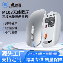 ��؈M103�{���o����������Ů���o����˹Pӛ����Xͨ���k�����