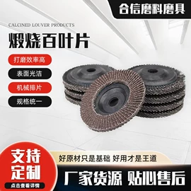 页轮、页片;磨片、切割片