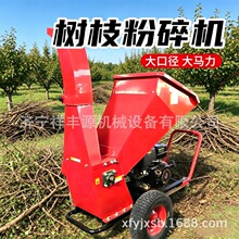 �r�ñ�y��֦����C�@�ֹ���֦�l��֦�C��ľ�ն���֦С�ͷ���C