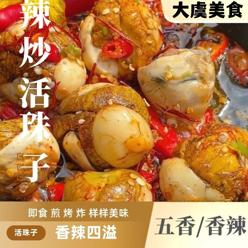五香辛いライブビーズハッピーエッグ 13 日間の新鮮な卵調理された鶏の胚毛卵強化放し飼いゴールデンフェニックス
