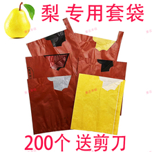 梨袋子梨专用套袋柑橘袋黄桃袋苹果袋黄金梨袋枇杷芒果袋防鸟防虫