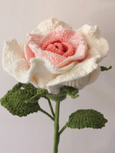 �hᘻ����ֹ�����̩��õ�廨���ϰ�ë�����W���h����Ʒ������