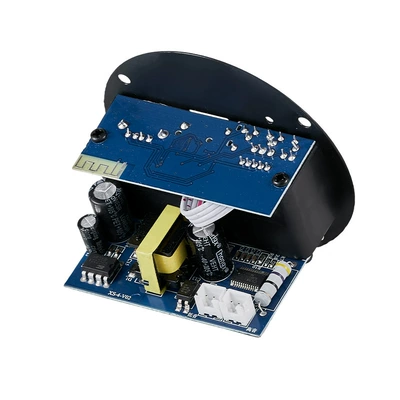 Dance Speaker Amplifier Module – Car speaker/subwoofer