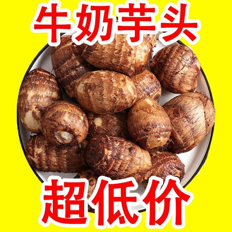 现挖山东毛芋头包邮山东新鲜小芋头香芋粉软糯丝滑芋仔芋艿5/1斤