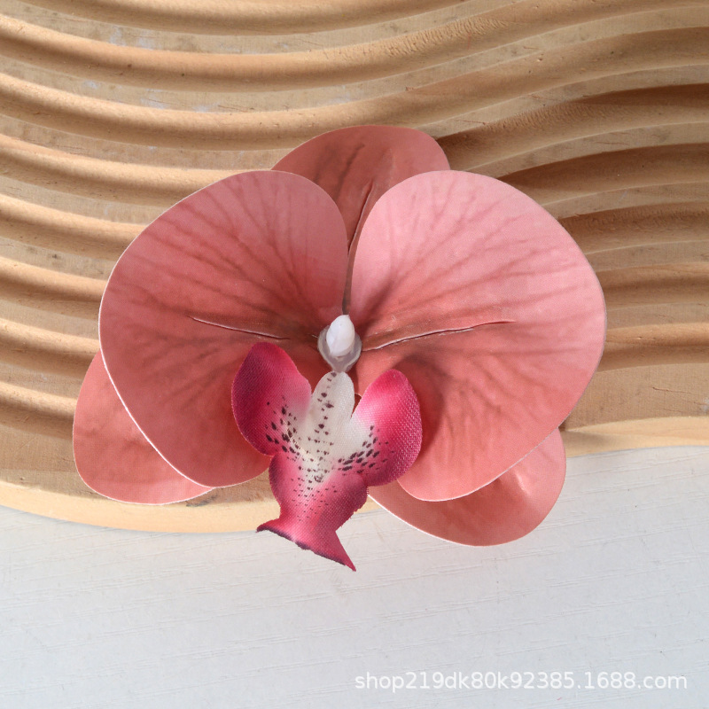 胡蝶蘭の花の頭は花びらの部品をシミュレーションします。|undefined