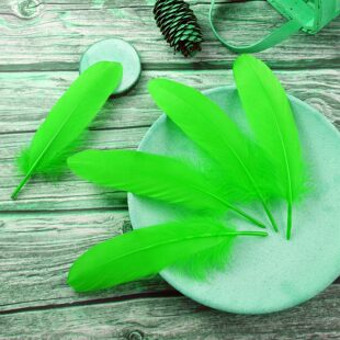 ��Ȼ��K��ë20���ZcmƬ��ˇƷ15��Y10��ˇ��Ʒ��ë������0