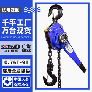 Hand hoist a ton 0.75t1.5t3t6t9 ton 3m6m9 meter manual tightener chain type hand hoist