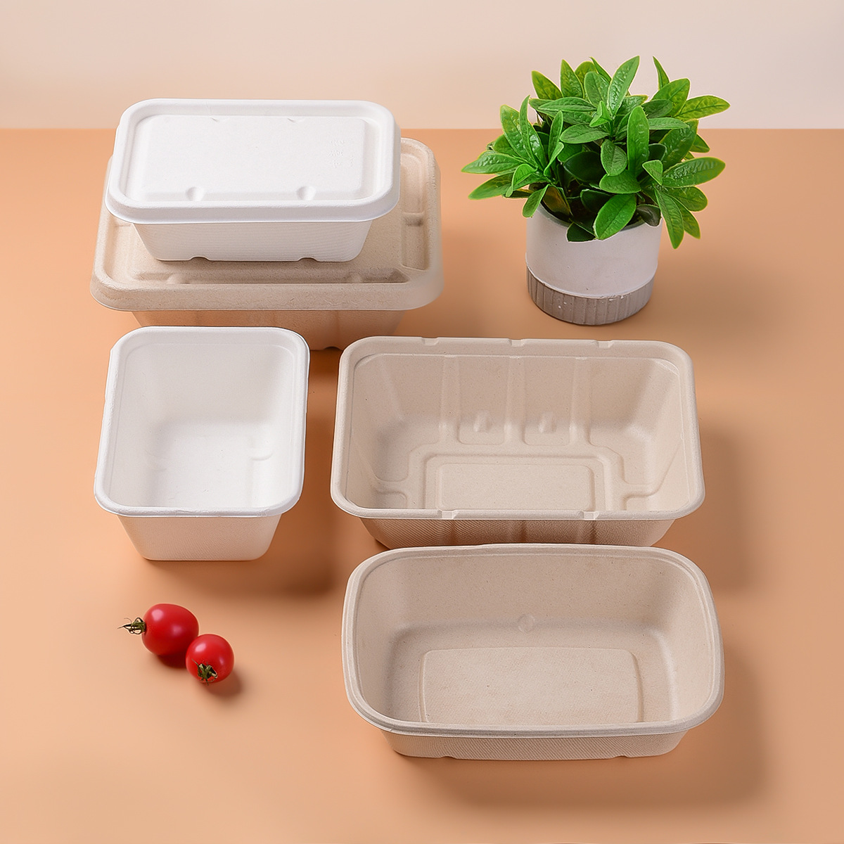Caja cuadrada degradable de cubierta de azúcar y polpa de ensalada para picnic para llevar caja de comida de pulpa caja de bento