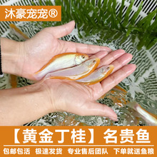 ��������S������B�~�t���ߙn�S�𶡹�ϡ���S���t�����~�^�p�~��