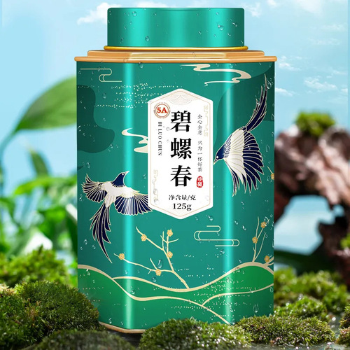 Touchun Tea Special Fruity Biluochun Green Tea Mingqian New Year Tea Gift Box 250-500g Tea Wholesale