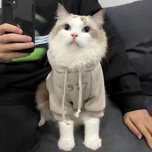 Cat Clothes Anti-lint Warm Cute Puppet Cat Blue Cat Short Kitten Pet Hooded fleece-lined Sweatshirt Winter Clothes