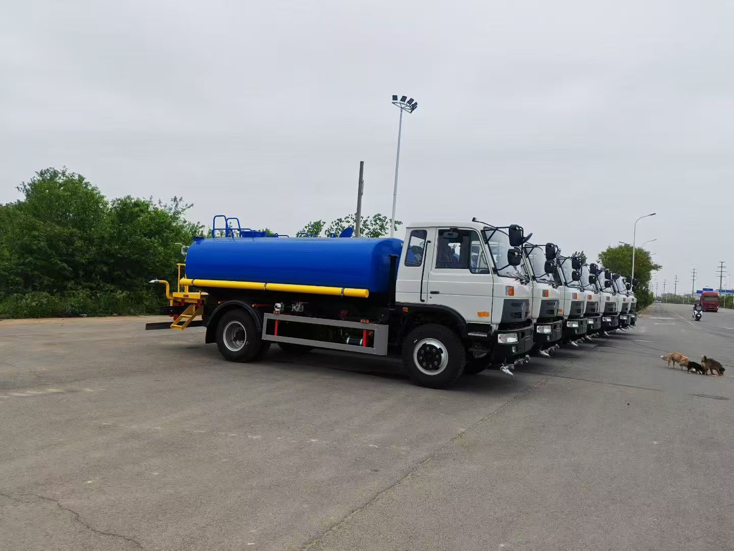 Dongfeng Huashen 12-Ton Export Model Sold by Chengli Special Vehicle Manufacturer, National Vi 12-Cubic-Meter Fog Cannon Greenery Sprinkler Truck