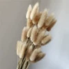 The primary rabbit tail is a bundle of about 60