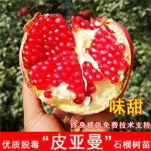 Gʯͻ˹ܛџoѼt⎧ͥԺʯ