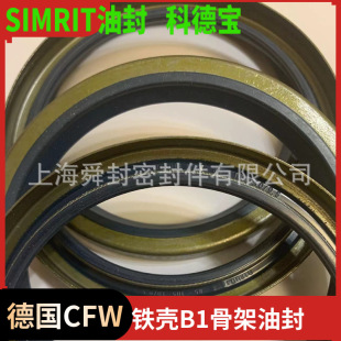 CFW-SIMRIT��Ǽ��ͷ�B1FUD20*28*6  DIN3761B/BS���|72NBR902