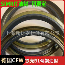 CFW-SIMRIT外骨架油封B1FUD20*28*6  DIN3761B/BS材质72NBR902