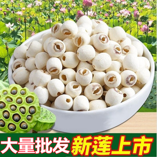 ȥо��ɏ�Ӹ�؛ �oоɏ��500g���rĥƤȥ�İ�ɏ�Ӱٺϸ��y��ɏ��