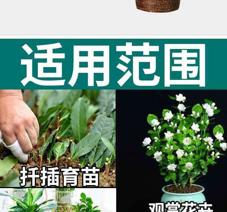 f0ae2c53-b91b-4c73-bc81-837d0d637d07.jpe