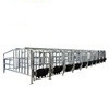 母猪限位栏定位栏猪用落地式加厚养猪设备镀锌管带复合板产床厂家