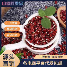 ��С���L����؛�r���ԷN�M��޲�����͌��B����С�ඹ���b����s�Z