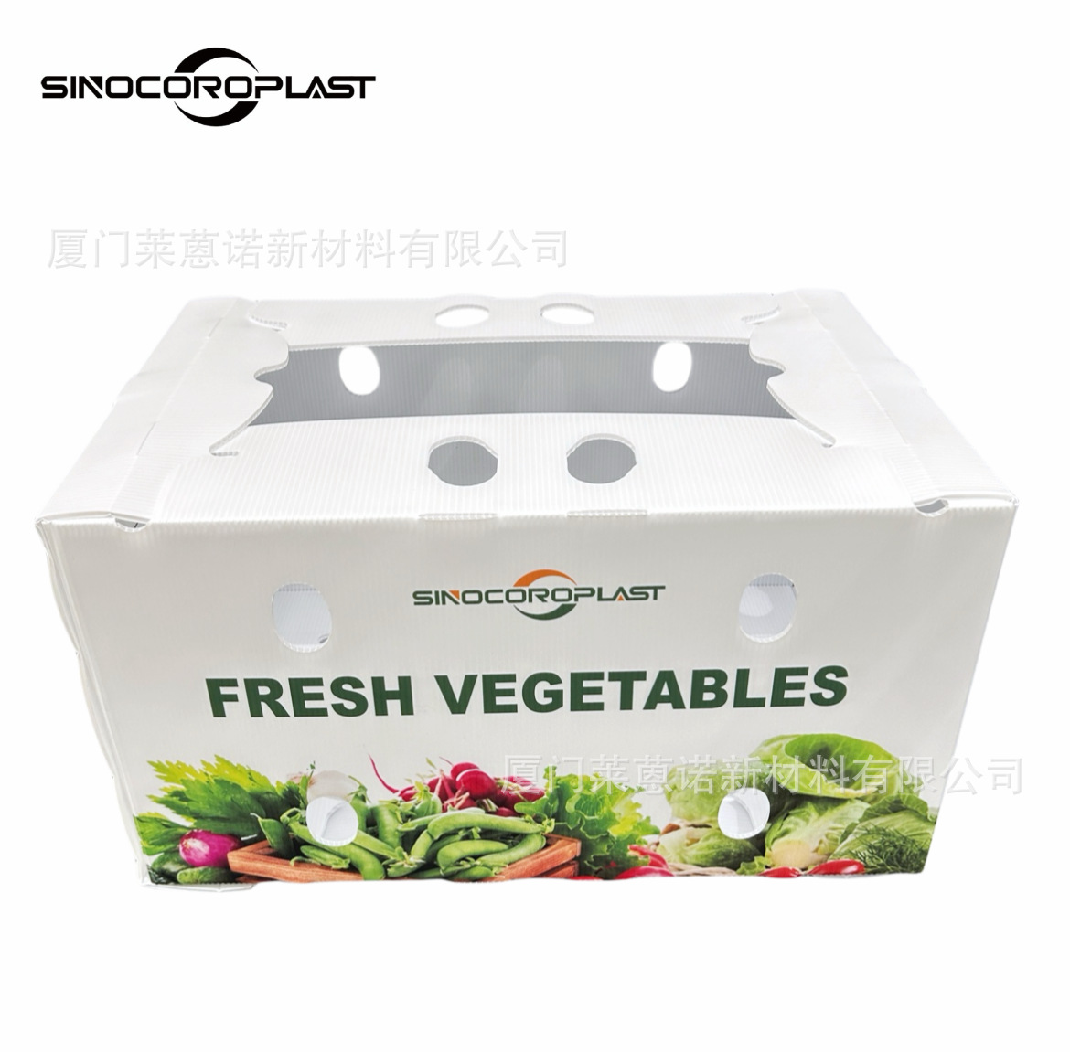 Caja de frutas y verduras de placa hueca pp personalizada plegable impermeable frutas y verduras frescas de transporte de cadena de frío Caja de plástico de calcio image 22