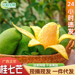 �V��������â���râ��10��Ƥ������֭�Fժ�F�l����һ�����l���]