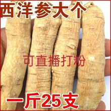 西洋参整枝花旗参段原枝长白山8年西洋参整枝硬肉花旗参