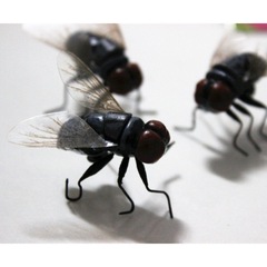 模擬昆虫、ハエ、マグネット、冷蔵庫用マグネット、装飾シーン、教育用品、人間の遊びに適しています。