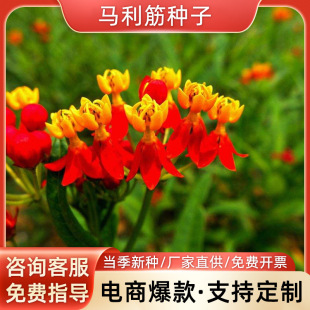 �R����N�ӽ��P���ļ��׷N����ͥԺ�̨�׻�N���^�������컨��