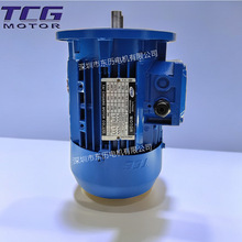 TCG̨TC 0.75KW 1HP 380V TAI CHUANG MOTOR첽