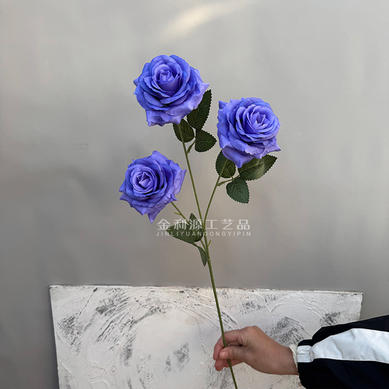 Real object without green leaves 3-head lover rose purple blue