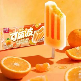 ��·ѩ���������� ��ݮɽ�/����ζ�������ѩ������