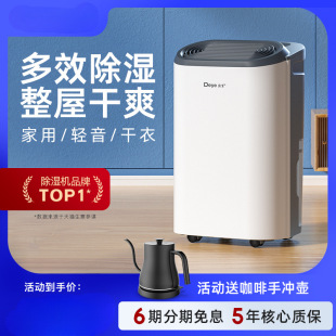 Deye dehumidifier household high-power light sound dehumidifier villa basement drying clothes dehumidification dryer Z20B3