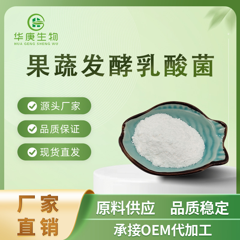 果蔬发酵乳酸菌 酵素发酵菌 发酵酵 素菌 益生菌 乳杆菌