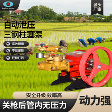 农用高压打药泵打药机喷雾机三缸柱塞泵园林绿化压力泵洗车机泵