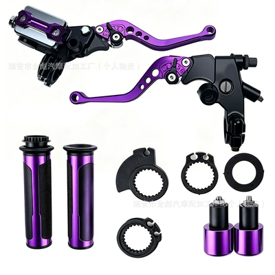 Hydraulic Brake Pump, Cnc Aluminum, Motosiklet ləvazimatları və aksesuarları - purple-set-of-one
