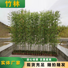 ���l�^�z�~��ˮë��������������҃��bɾG�~�쾰���ַ�������