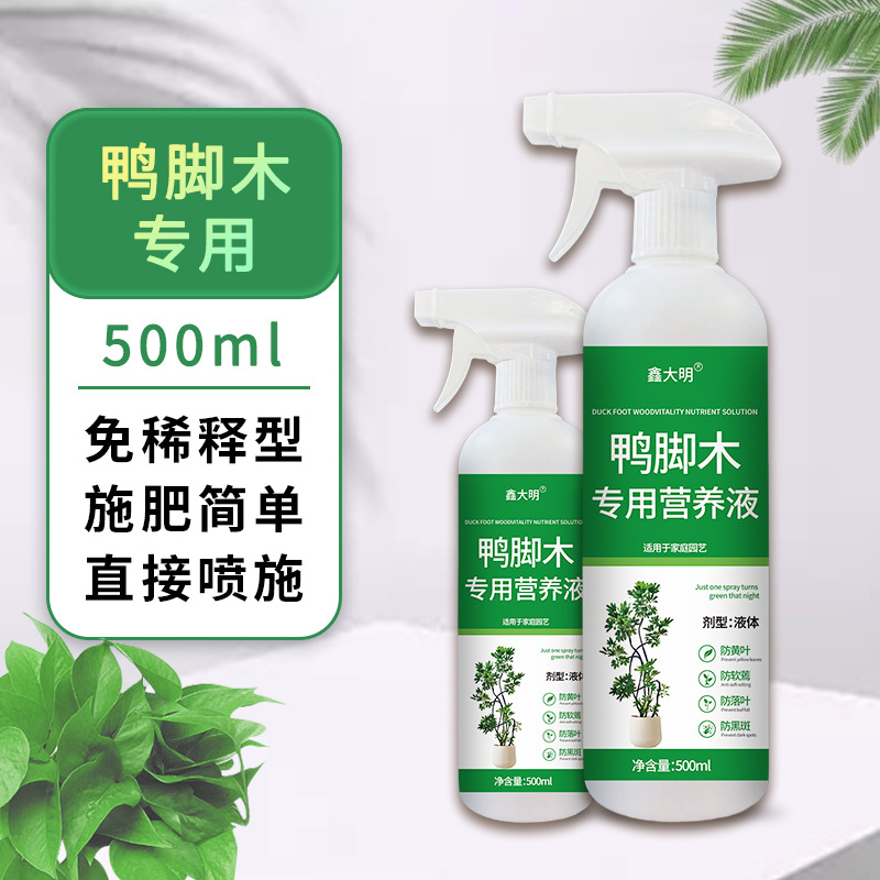 鸭脚木专用营养液植物花卉盆栽黄叶干催发芽生根壮苗免稀释喷雾