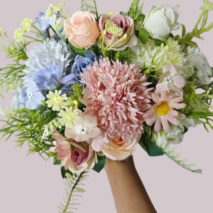 ���滨5�^����õ��ٻ��쾰�b�c����õ���Y�ٻ���ˇ���l