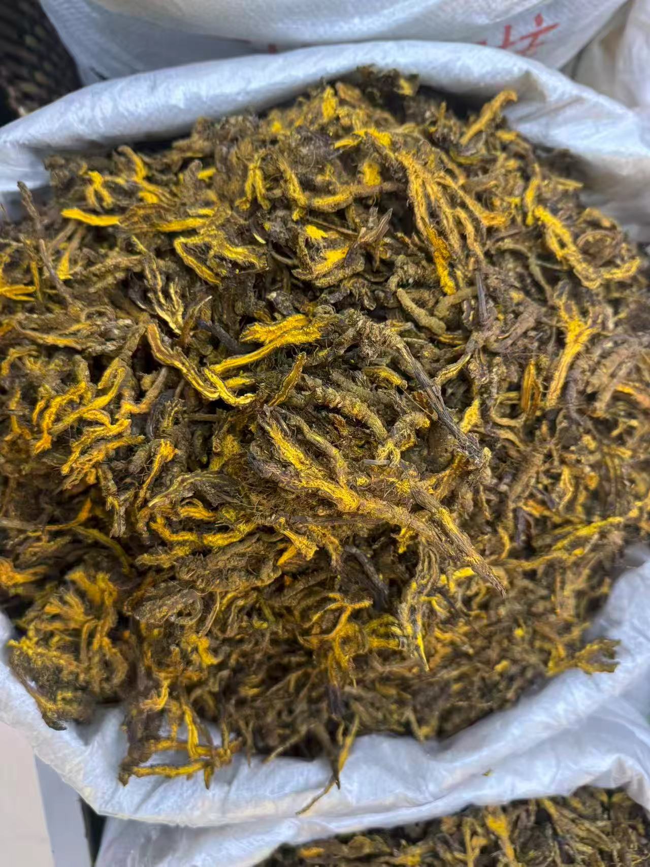 Sichuan Coptis Root Huang Lian Dried Chinese Herb Clean Raw Material 1000g Bag specifications