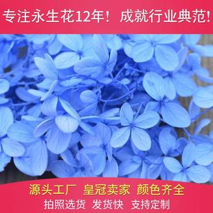 �؃r̎��B�����~��������ľ�����r���仨�Y�Ą����������˹���