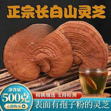 `֥Ұ`֥֦شҜݾ`֥l