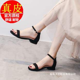 ƽ�כ�ЬŮЬ��2026���¿��ļ�һ��ʽ�ێ��и��ָ��r�b�_�R��ȹ��