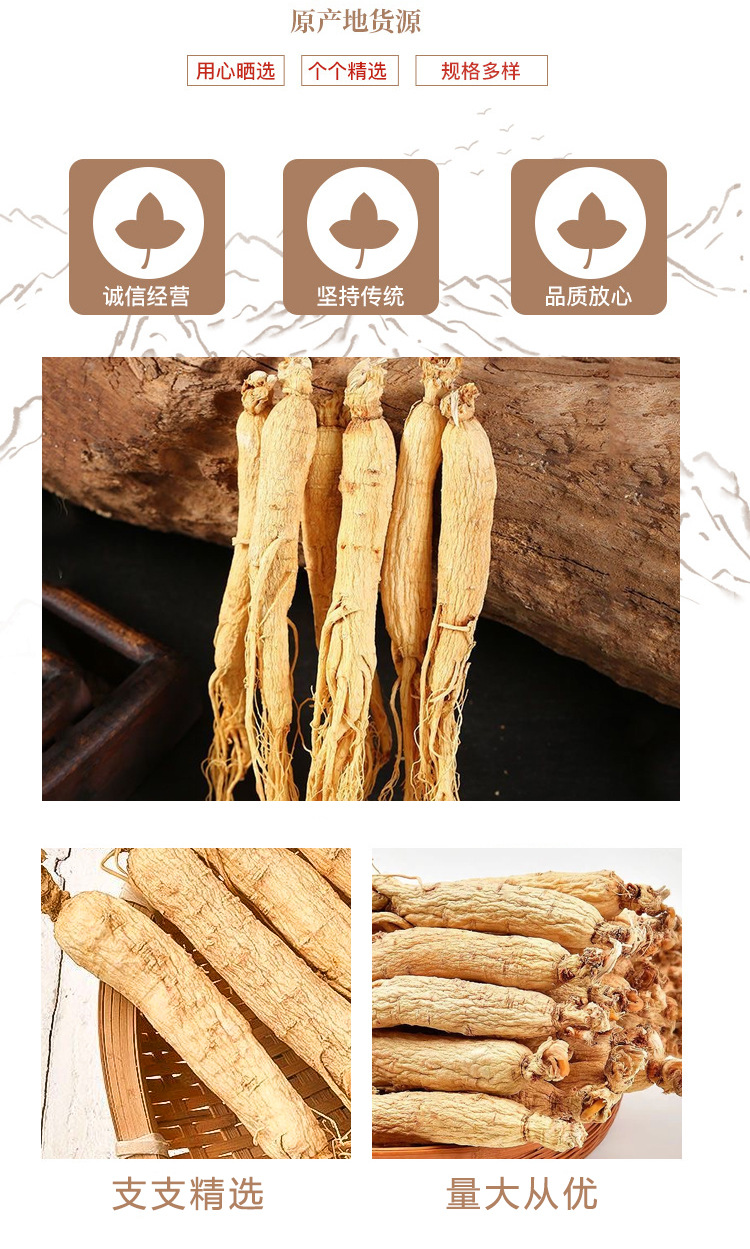 Ginseng Root Ren Shen Whole Dried White Ginseng for Soup and Wine Infusion 500g in use