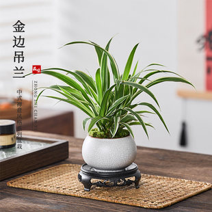 ��߅���m������ʽ�U��ֲ���k��������Gֲ�͏d�ļ�ͥԺ���B�辰