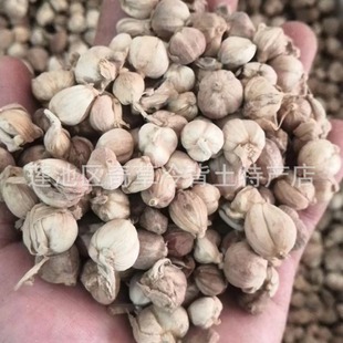 �׶�ޢ,��ޢ,����ֲ�ﻬ�~ɽ���Ĺ���,��ș�İ�ޢ���l